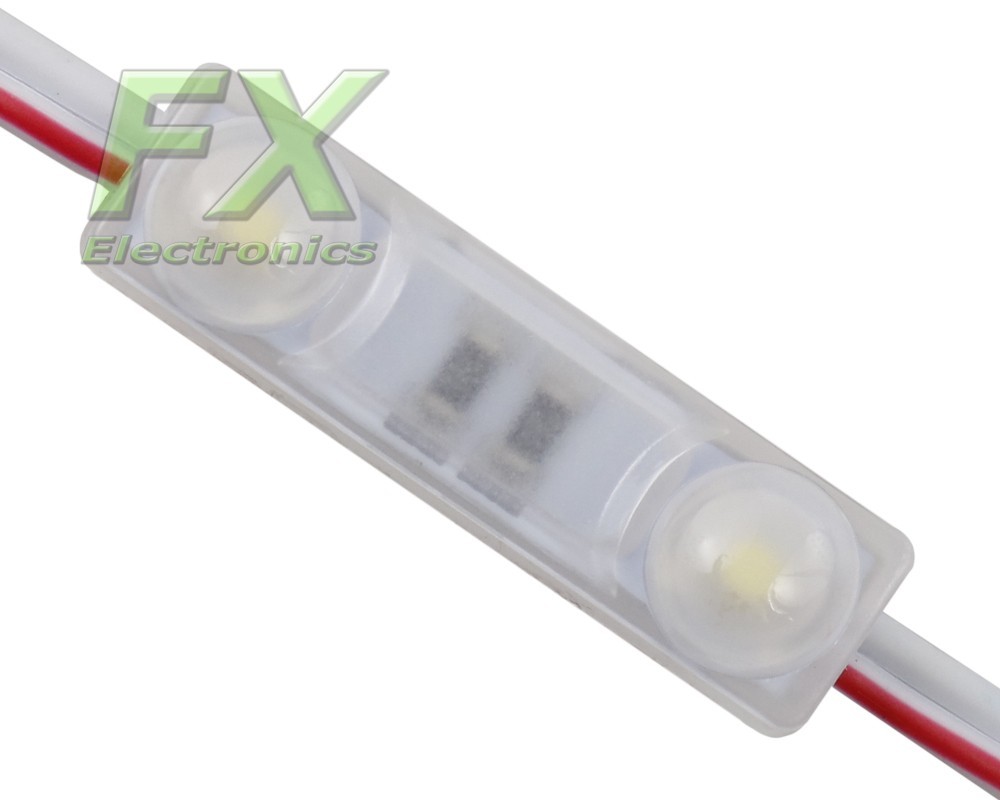 Mini 2 Lens Wallie LED module