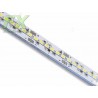 FAS TBAR linear module 12V 10W 2700K