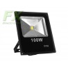 LED floodlight 100W 12V-24V DC PREMIUM Cold color