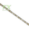 Taśma LED 2835 120 led/m 9,6W/m 24V IP20 2YDI 50m